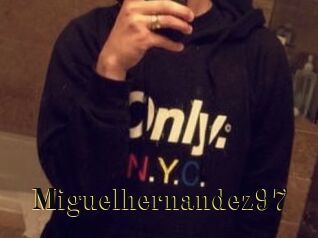 Miguel_hernandez97
