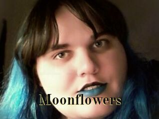 Moonflowers