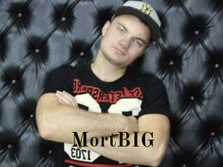 MortBIG