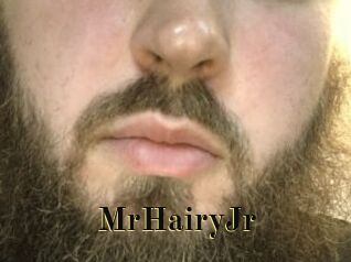 MrHairyJr