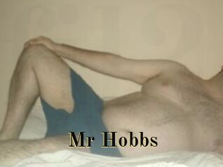 Mr_Hobbs