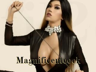 Magnificentcock