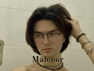 malenor Films 2 Q
