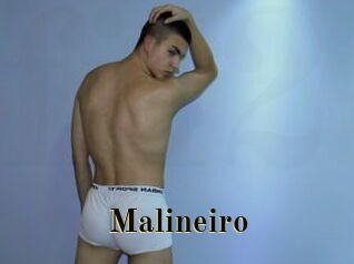 Malineiro
