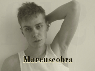 Marcuscobra