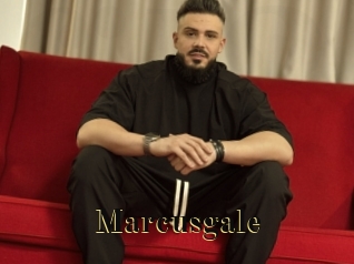 marcusgale Films 2 Q