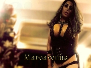 Mareavenus