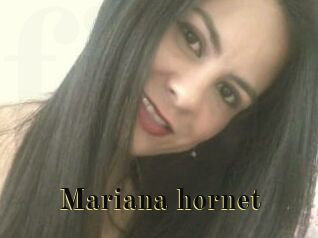 Mariana_hornet