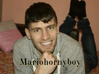 Mariohornyboy