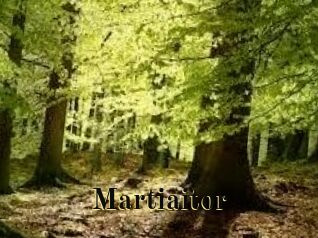 Martiaitor