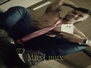 Maxi_mux