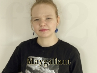 Maygallant