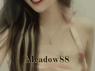 Meadow88