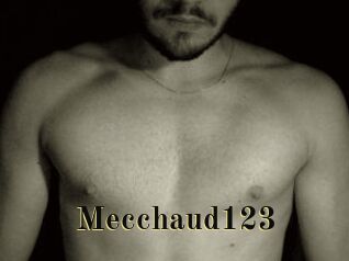 Mecchaud123