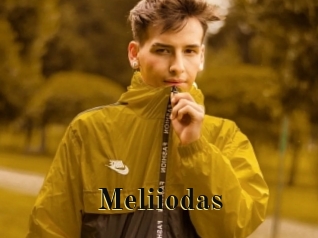 Meliiodas