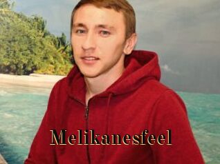 Melikanesfeel