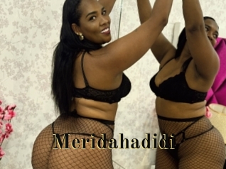meridahadidi Films 2 Q