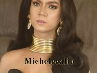 Michelecalib