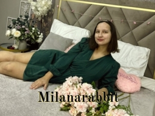 Milanarabbit