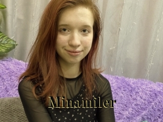 Minamiler