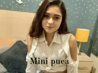 Mini_puca