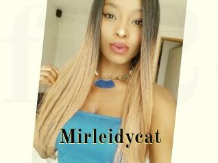 Mirleidycat