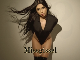 Missgissel
