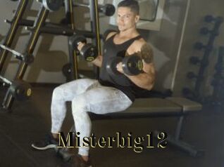 Misterbig12