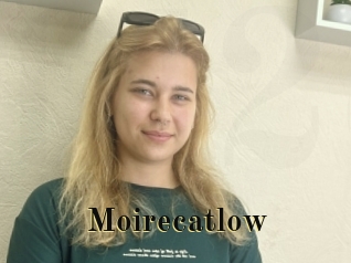 Moirecatlow