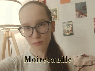 Moirecaudle
