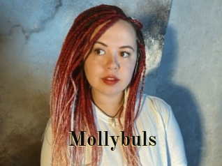 Mollybuls