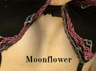 Moonflower