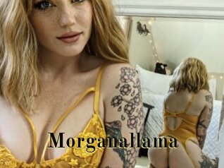 Morganallama