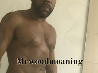 mrwoodmoaning Films 2 Q
