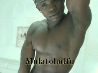 Mulatohotfu