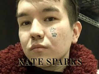 NATE_SPARKS