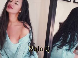 Nala_Q