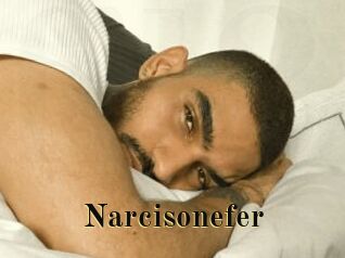 Narcisonefer