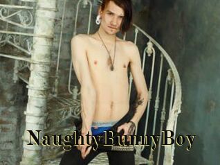 NaughtyBunnyBoy