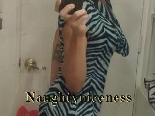 Naughtyniceness