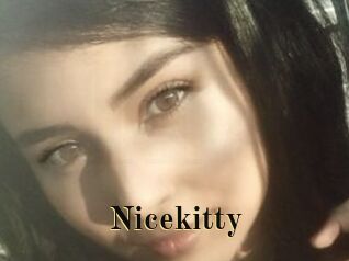 Nicekitty