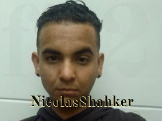 NicolasShahker Films 2 Q