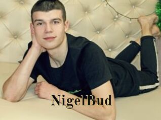 NigelBud