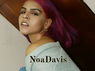 NoaDavis