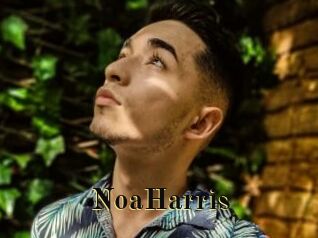 NoaHarris