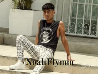 NoahFlymm