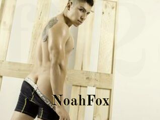 NoahFox