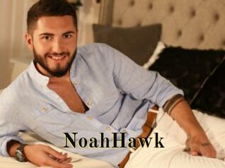 NoahHawk