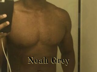 Noah_Grey