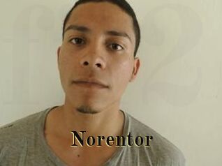 Noren_tor